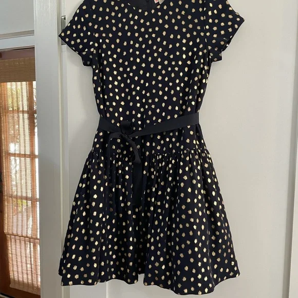 Festive and sparkly Crewcuts size 14 holiday dress. Worn once. - Picture 4 of 7